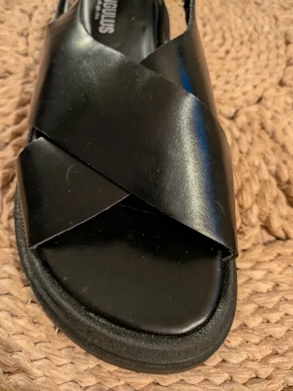 Angulus sandaler