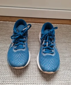 Asics Evoride 3