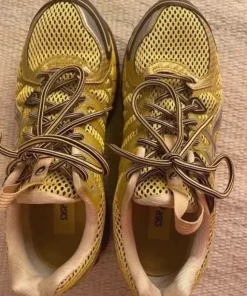 Asics gel kayano 20
