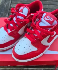 Buty Nike Dunk Low
