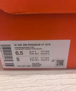 Buty Nike Pegasus 41 GTX