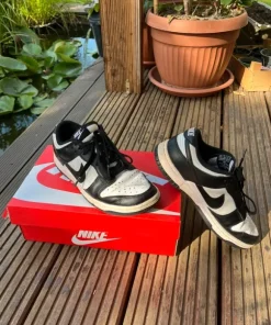 Nike Dunk Low