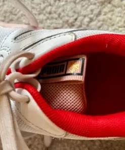Puma kondisko