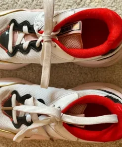 Puma kondisko