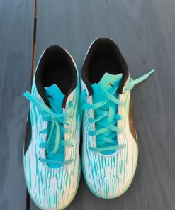 Puma sko
